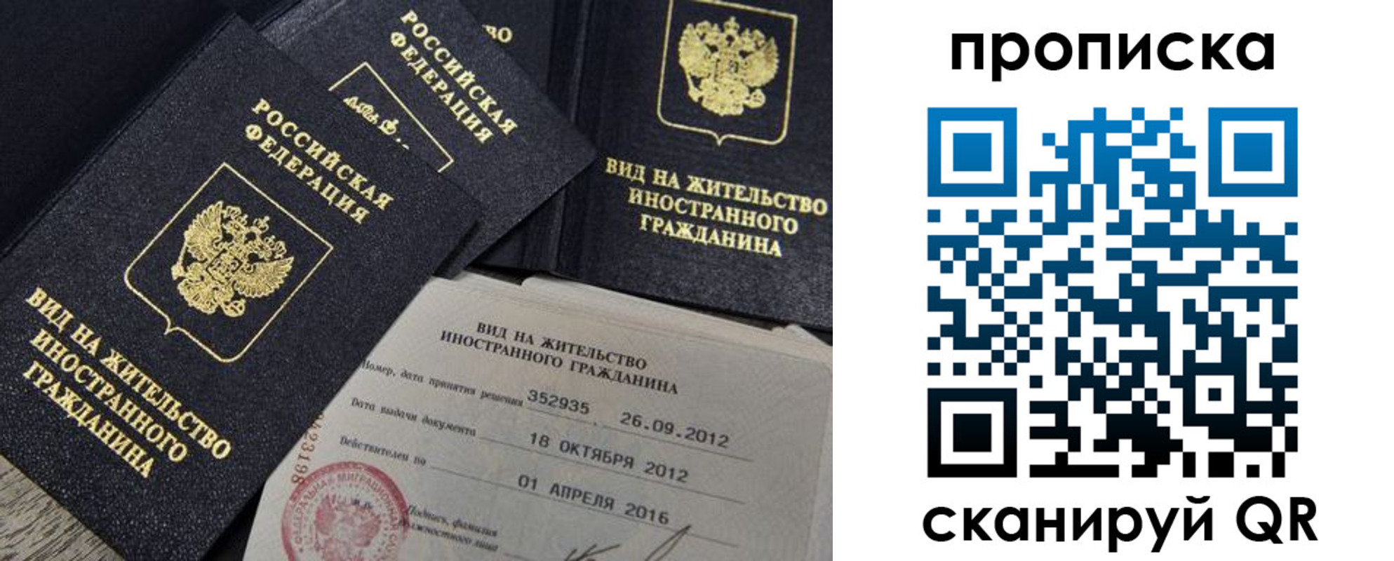 прописка в Ельне